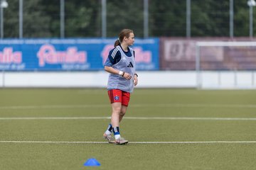Bild 119 - wBJ Hamburger SV - FC Suederelbe : Ergebnis: 9:0